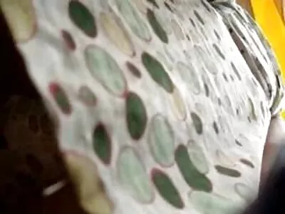 Un sex con vecchie vibratore sta andando su una figa pelosa