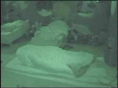 Così bella porno video vecchi ragazza bionda prenditi la vita comoda e rilassati in un resort, divertiti