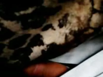 Scopata anale dura sesso gay tra anziani alla pecorina